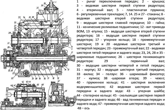 67b99bdb692de.webp