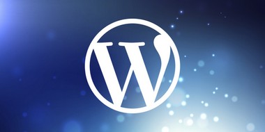     OpenCart      WordPress