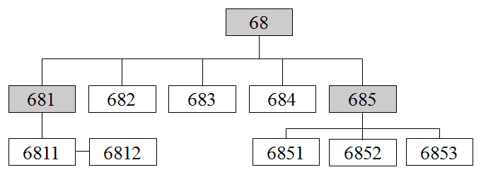 Иерархия счета 68: 68 684 685 6853