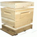 Корпусні вулики в Україні – усе про придбання та про експлуатування Корпусні вулики в Україні – усе про придбання та про експлуатування