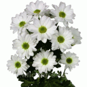 ������ �������� ���������� ������ ��� �������� ������� � ����������