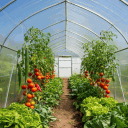 ���-7 �������, ������� ����� ����� ������ � �������