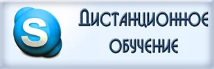 Дистанционное обучение по Skype Дистанционное обучение по Skype